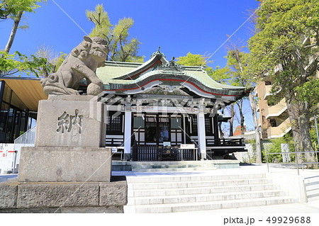 亀有香取神社 東京都葛飾区亀有 亀有香取神社 東京都葛飾区亀有 49929688