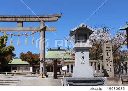 生國魂神社・いくたまさんの春の風景 49930086