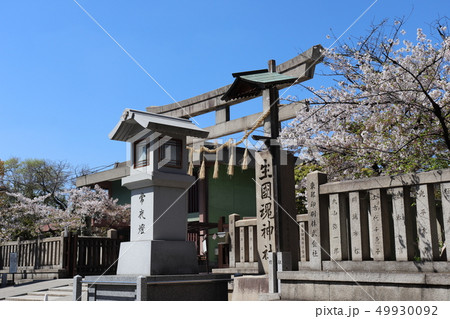 生國魂神社・いくたまさんの春の風景 49930092