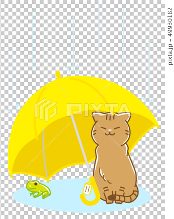 多雨的貓和貓與遮陽傘 49930182