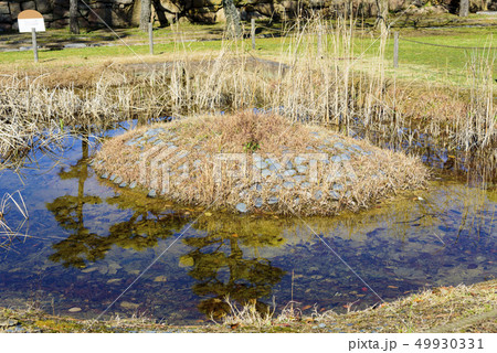 岡山城の泉水（岡山県岡山市） 49930331