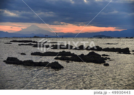 葉山町真名瀬【神奈川県三浦半島】春の名島と富士山 49930443