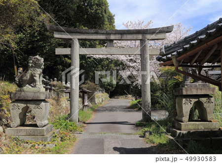 金毘羅五街道の一つ伊予土佐街道の「牛屋口」（象頭山と愛宕山の隘路） 49930583