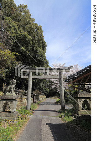 金毘羅五街道の一つ伊予土佐街道の「牛屋口」（象頭山と愛宕山の隘路） 49930584