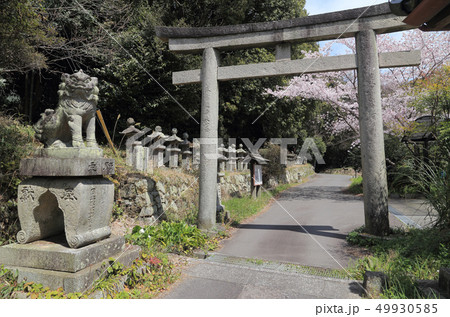 金毘羅五街道の一つ伊予土佐街道の「牛屋口」（象頭山と愛宕山の隘路） 49930585