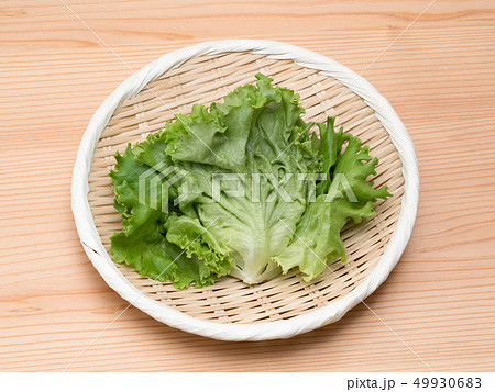 野菜工場で生産されたプリーツレタス 49930683