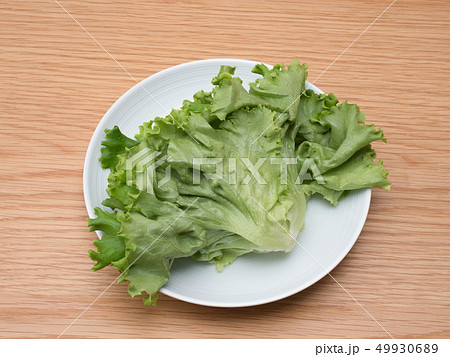 野菜工場で生産されたプリーツレタス 49930689