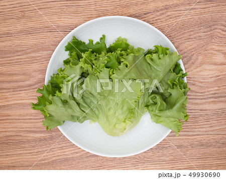 野菜工場で生産されたプリーツレタス 49930690