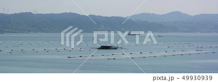 明石 のり漁 パノラマ 49930939