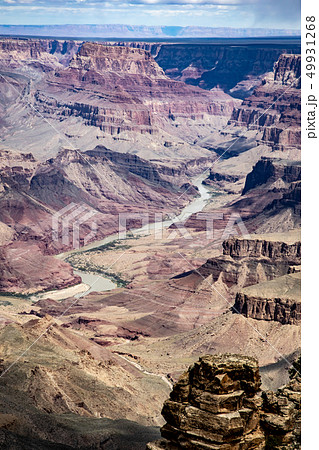 グランドキャニオン サウスリム デザートビューポイント コロラド川 グランドキャニオン サウスリム デザートビューポイント コロラド川 49931268