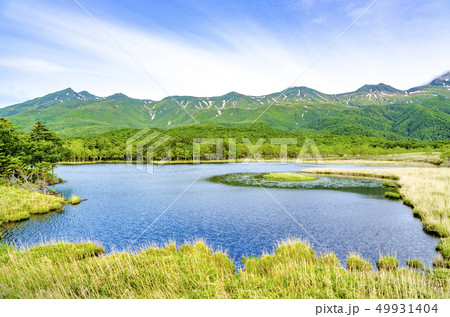 爽やかな知床五湖 49931404