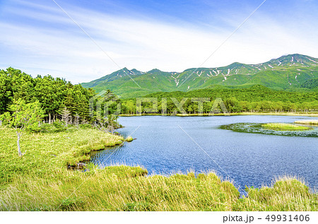 爽やかな知床五湖 49931406