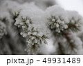 ツリー1 49931489