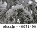 ツリー2 49931490
