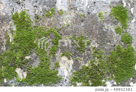 background texture background texture 49932381