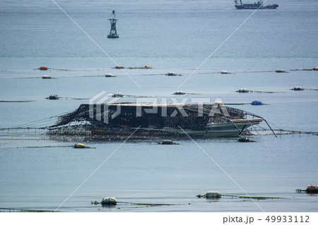 明石 海苔 漁船 明石 海苔 漁船 49933112