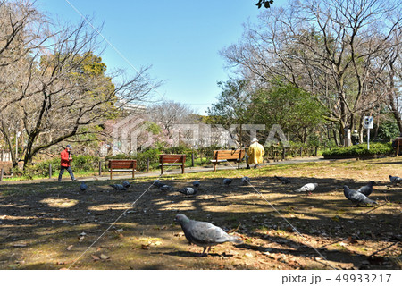 目黒区立駒場野公園　 49933217