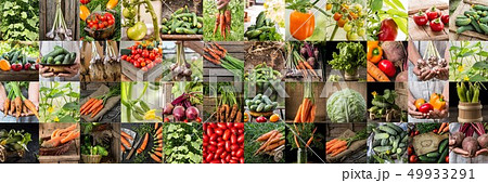 Collection with different color vegetables. Collection with different color vegetables. 49933291