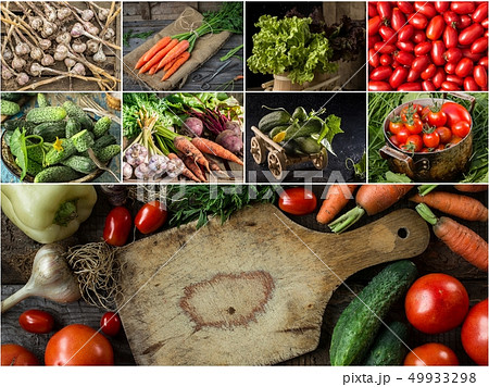 Set of different vegetables. Collection vegetables Set of different vegetables. Collection vegetables 49933298