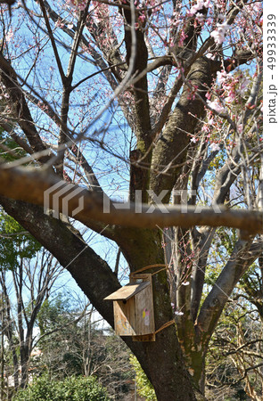 目黒区立駒場野公園　 49933339