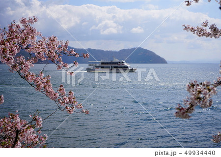 琵琶湖 海津大崎 桜 遊覧船 琵琶湖 海津大崎 桜 遊覧船 49934440