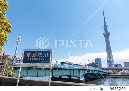 隅田川 言問橋 スカイツリー 49935266
