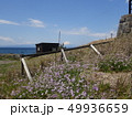 葉山の海と富士山 49936659