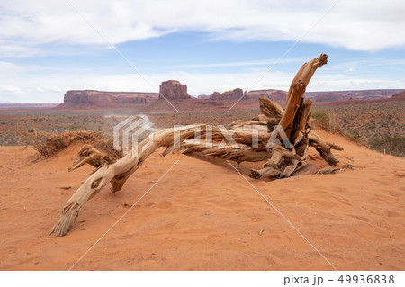 モニュメントバレーの風景 モニュメントバレーの風景 49936838