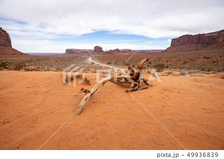 モニュメントバレーの風景 49936839