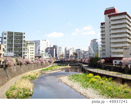 春の田川 押切橋から宮の橋方面の風景 春の田川 押切橋から宮の橋方面の風景 49937241