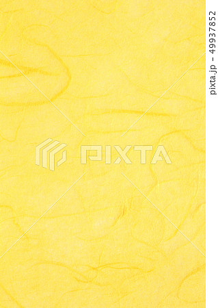 和紙　イエロー 49937852