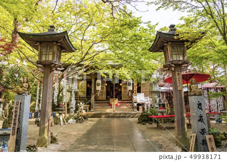 如意輪寺 「かえる寺」 如意輪寺 「かえる寺」 49938171