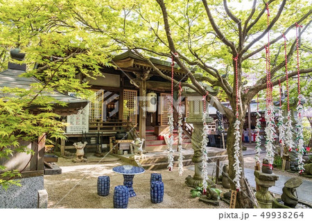 如意輪寺 「かえる寺」 如意輪寺 「かえる寺」 49938264