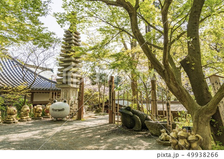 如意輪寺 「かえる寺」 如意輪寺 「かえる寺」 49938266