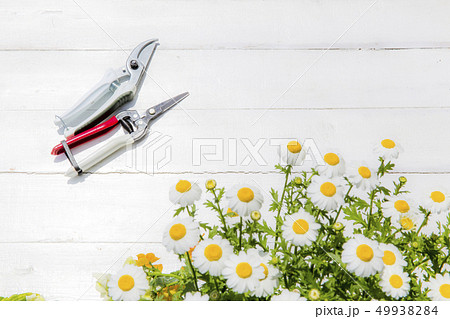 ガーデニングイメージ ガーデニングイメージ 49938284