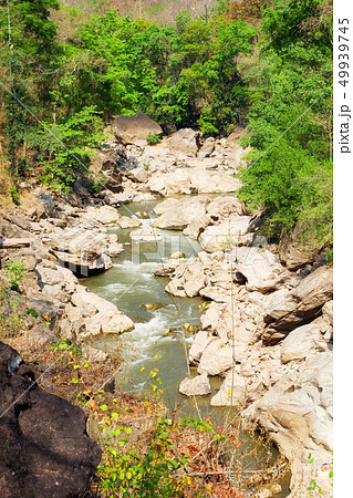 River in the forest at Op Luang National Park 49939745