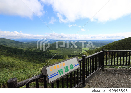 北海道　狩勝峠　夏 49943393