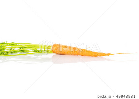Fresh orange carrot isolated on white Fresh orange carrot isolated on white 49943931