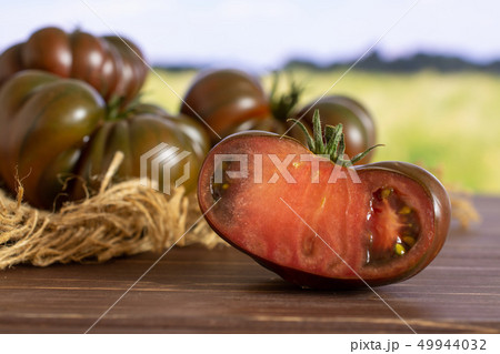 Fresh dark tomato primora with field behind Fresh dark tomato primora with field behind 49944032