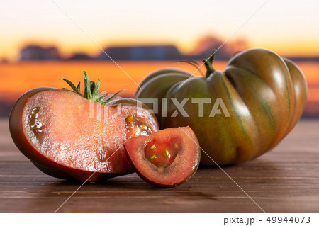 Fresh dark tomato primora with autumn field behind 49944073