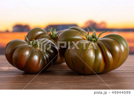 Fresh dark tomato primora with autumn field behind 49944099