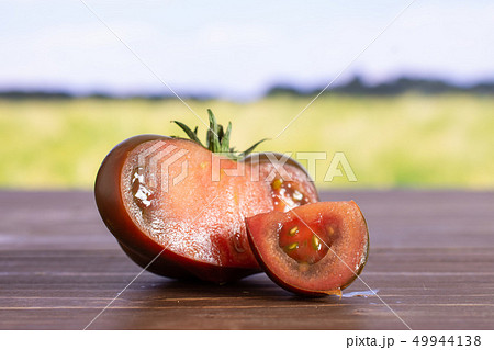 Fresh dark tomato primora with field behind Fresh dark tomato primora with field behind 49944138