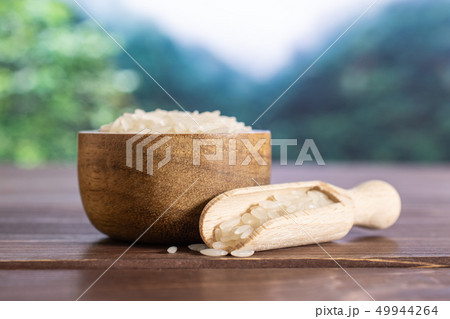 White jasmine rice in a jungle 49944264