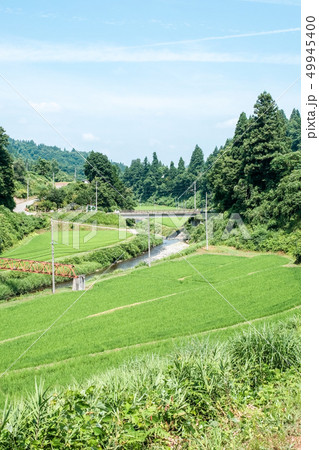 夏の田舎風景 49945400