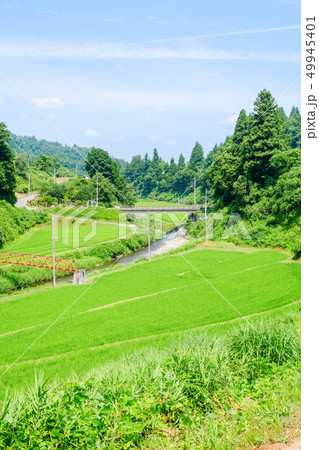 夏の田舎風景 49945401