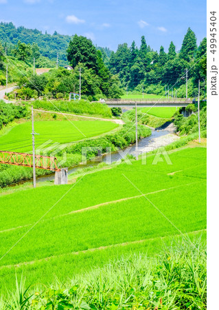 夏の田舎風景 49945404