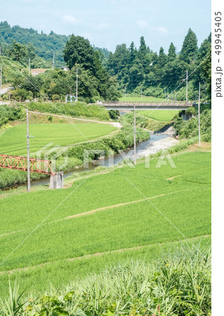 夏の田舎風景 49945405