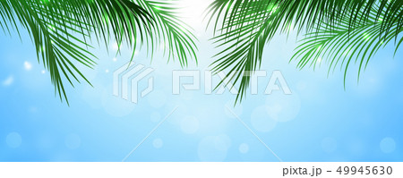 under palms banner 49945630
