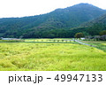田舎 49947133