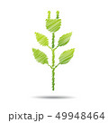 green eco energy concept, plant growing  49948464